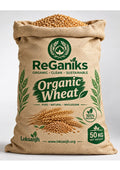 Organic Wheat Seeds – Natural & High-Quality Wheat Seed
