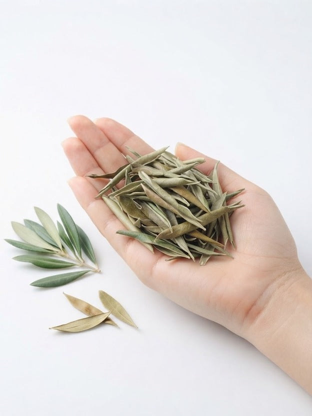 Olive Herbal Tea