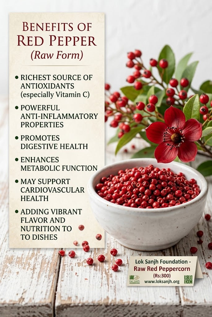 Premium White Pepper Powder – Pure & Aromatic Spice